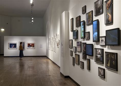 Discover the Best Photography Art Shows Near You: A Local Guide to Upcoming Exhibitions